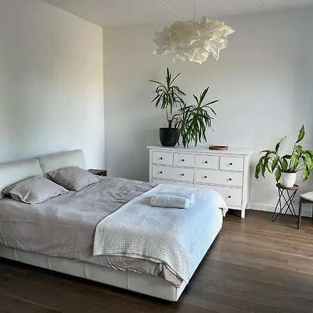 Apartment 2br In Kalamaja With Rooftop Terrace, Cinema, Free Parking *