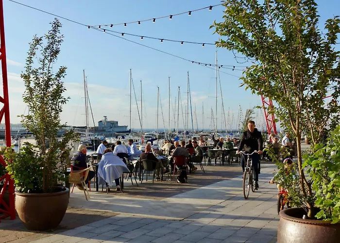 Daire Cozy 2br In Kalamaja With Rooftop Terrace, Cinema, Keyless Check-in Tallinn